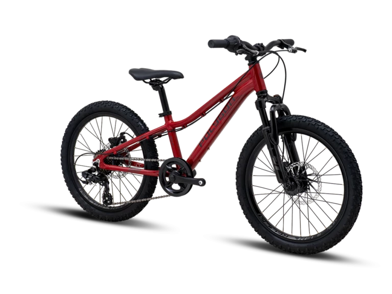 Bicicleta Polygon Relic 20" - Imagen 3